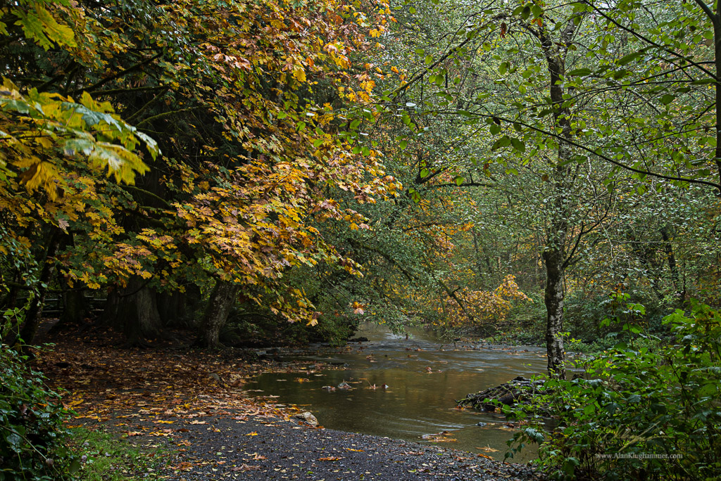 alanklughammer.com.20151009-_AKP7409-Edit