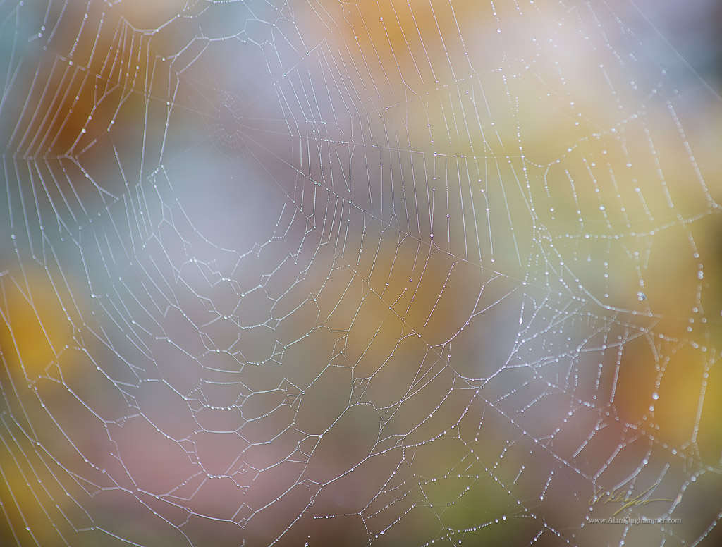 alanklughammer.com.20151009-_AKP7415-Edit