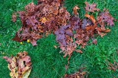 alanklughammer.com_.20200926-_6102280