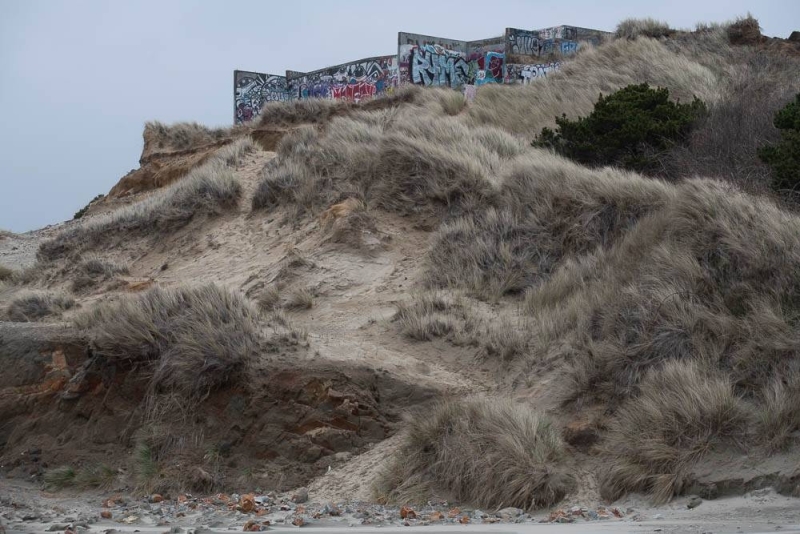 AlanKlughammer.com_20230408-_8503274