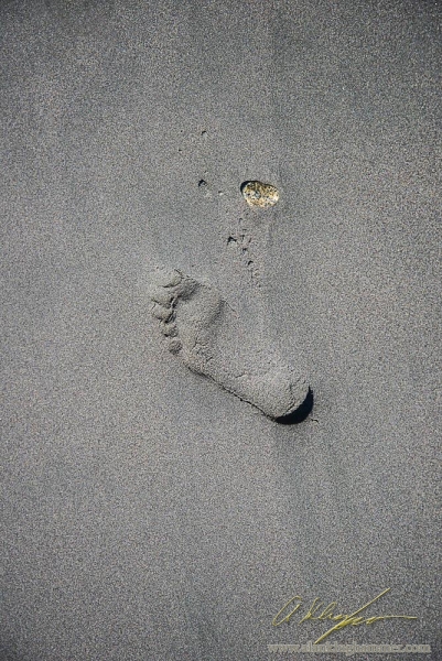 Leave only footprints, keep only memories