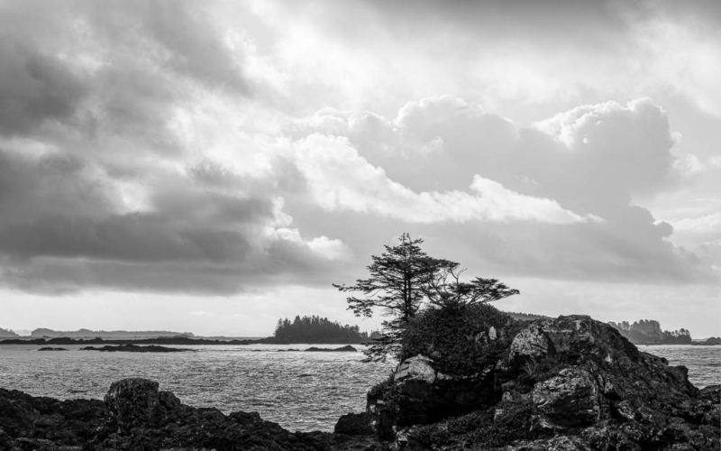 20250331-_AZ71588-HDR