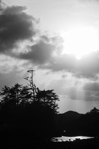 20250401-_AZ72462