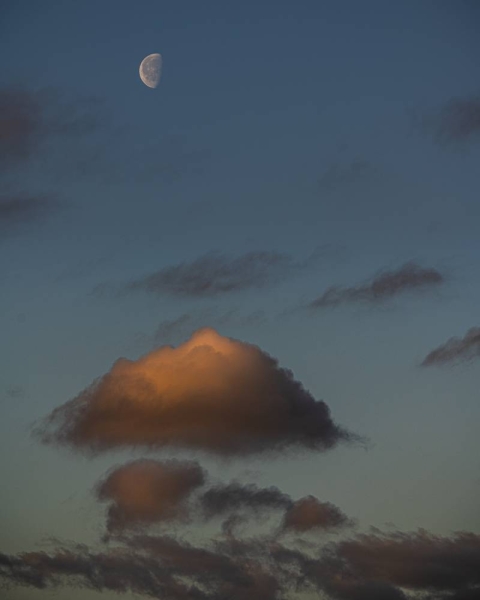20250419-_AZ73086