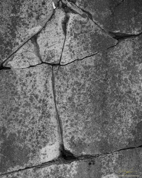 20251011-_8506320