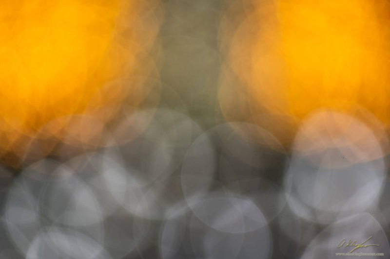 20251129-_AZ75010