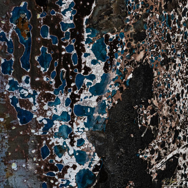 20260214-_AZ75603
