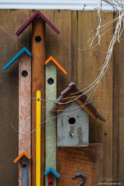 20260403-_AZ76195-Edit