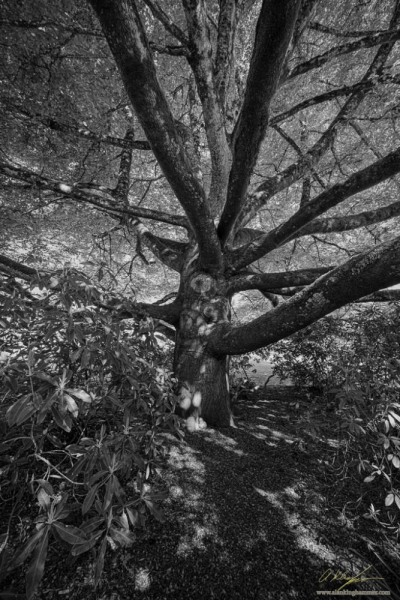 20260503-_AZ77094-Edit