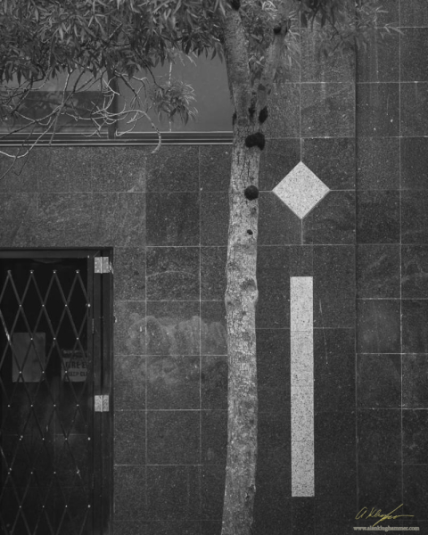 20260830-_AZ78485